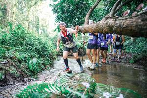 BIB: 
                            <button type="button" onclick="openModal(25475526)" class="btn btn-primary btn-sm float-right btn-popup" data-toggle="modal" data-target=".modal-high-quality">
                        <i class="fas fa-shopping-cart"></i> Add to Cart
                    </button>
                                            <button type="button" onclick="isThisMe(25475526, true)" class="btn btn-success btn-sm float-right btn-popup btn-isme hidden" data-toggle="tooltip" data-placement="bottom" title="นี่คือรูปของคุณใช่ไหม คลิกที่นี่เพื่อเอาเข้าอัลบั้ม">
                        <i class="fas fa-plus"></i> Add to album
                    </button>
                    <button type="button" onclick="isThisMe(25475526, false)" class="btn btn-warning btn-sm float-right btn-popup btn-isnotme hidden">
                        <i class="fas fa-ban"></i> Remove from album
                    </button>